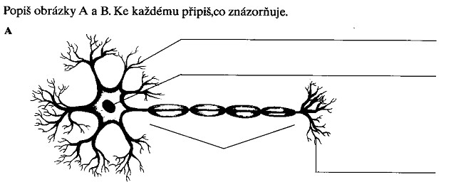 img00035.jpg